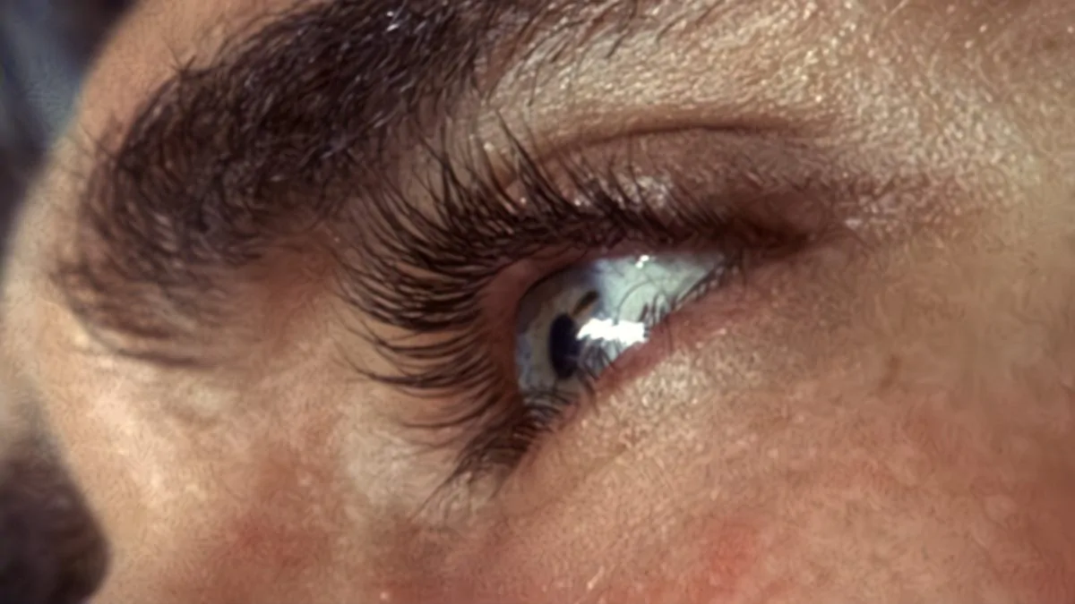 Фото галереи #3