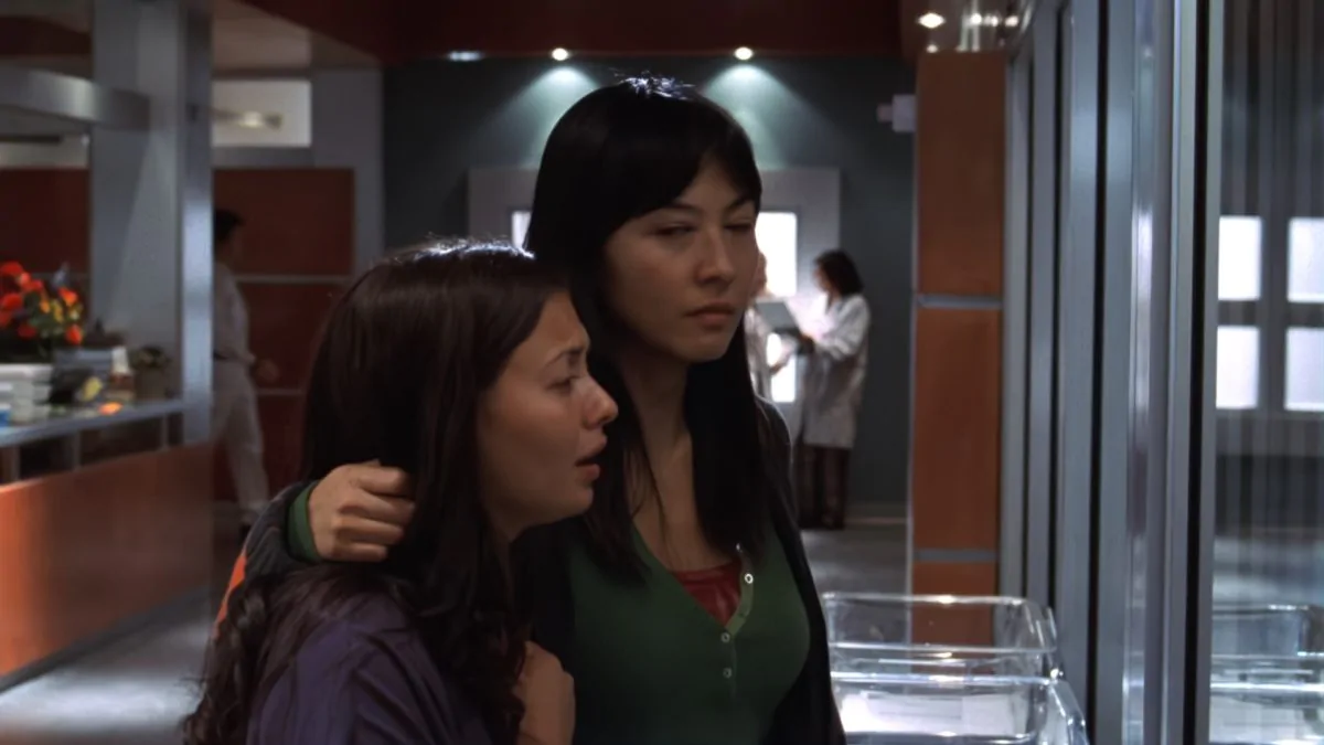 Фото галереи #8